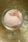 grapefruit-buttermilk-sherbet-022-1024x680