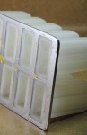 paletas de mango 009