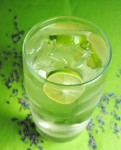 lavender tequila cooler 010