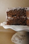 chocolate  tres leches cake 067