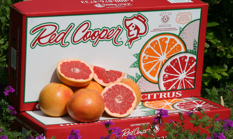 grapefruitbox1