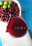 cranberry margarita 003