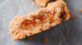 guava bars 045