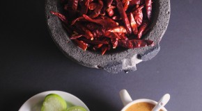 salsa roja 007