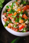 pico de gallo 2 041~1