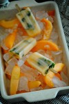 paletas de melon, cantaloupe pops 008~1