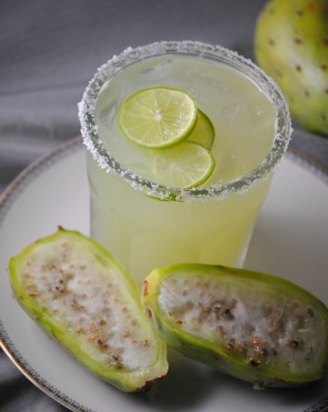 prickly pear margarita 004~4