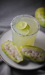 prickly pear margarita 004~4