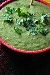 avocado tomatillo salsa 019~1