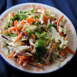 coleslaw-vianneyrodriguez