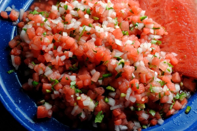 fresh-watermelon-salsa-VianneyRodriguez