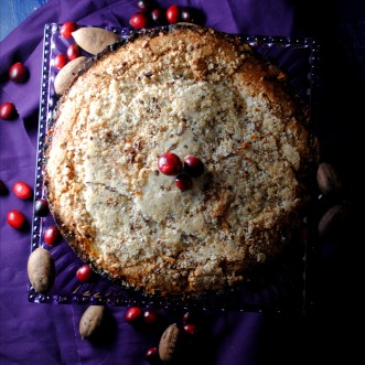 pecan-cranberry-coffeecake-VianneyRodriguez
