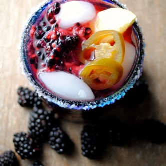 spicy-blackberry-margarita-VianneyRodriguez