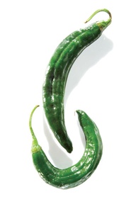 Chilacas pepper