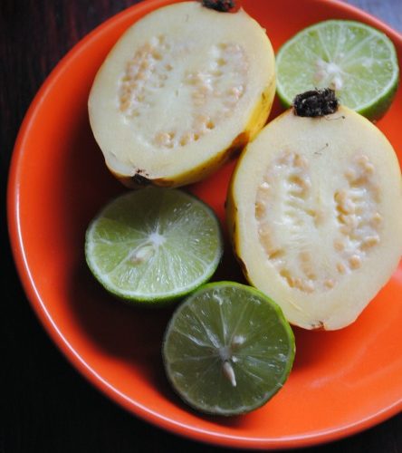 Guayaba Limeade