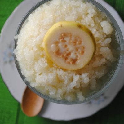 Easy Guayaba Granita