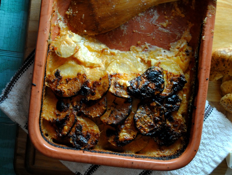 Adobo Potatoes Gratin