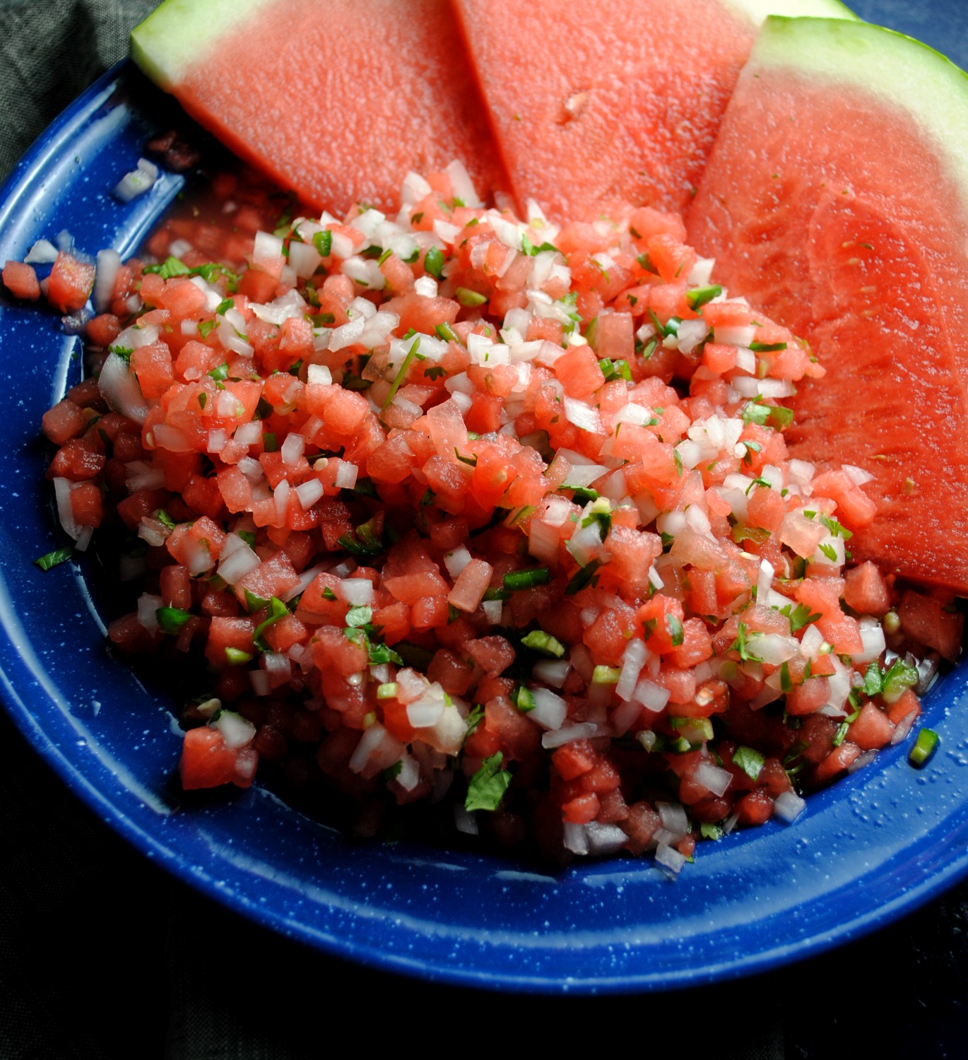 fresh-watermelon-salsa-VianneyRodriguez