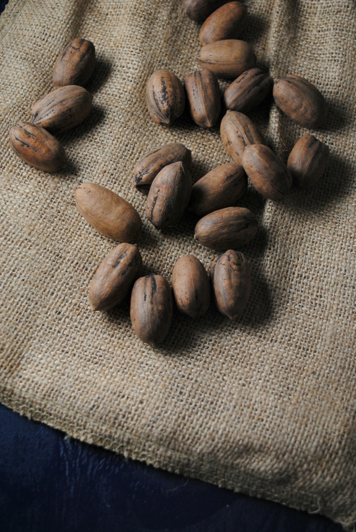 texas-pecans-VianneyRodriguez