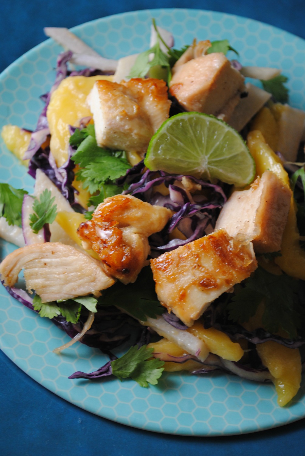 mango-jicama-slaw-honey-lime chicken-VianneyRodriguez