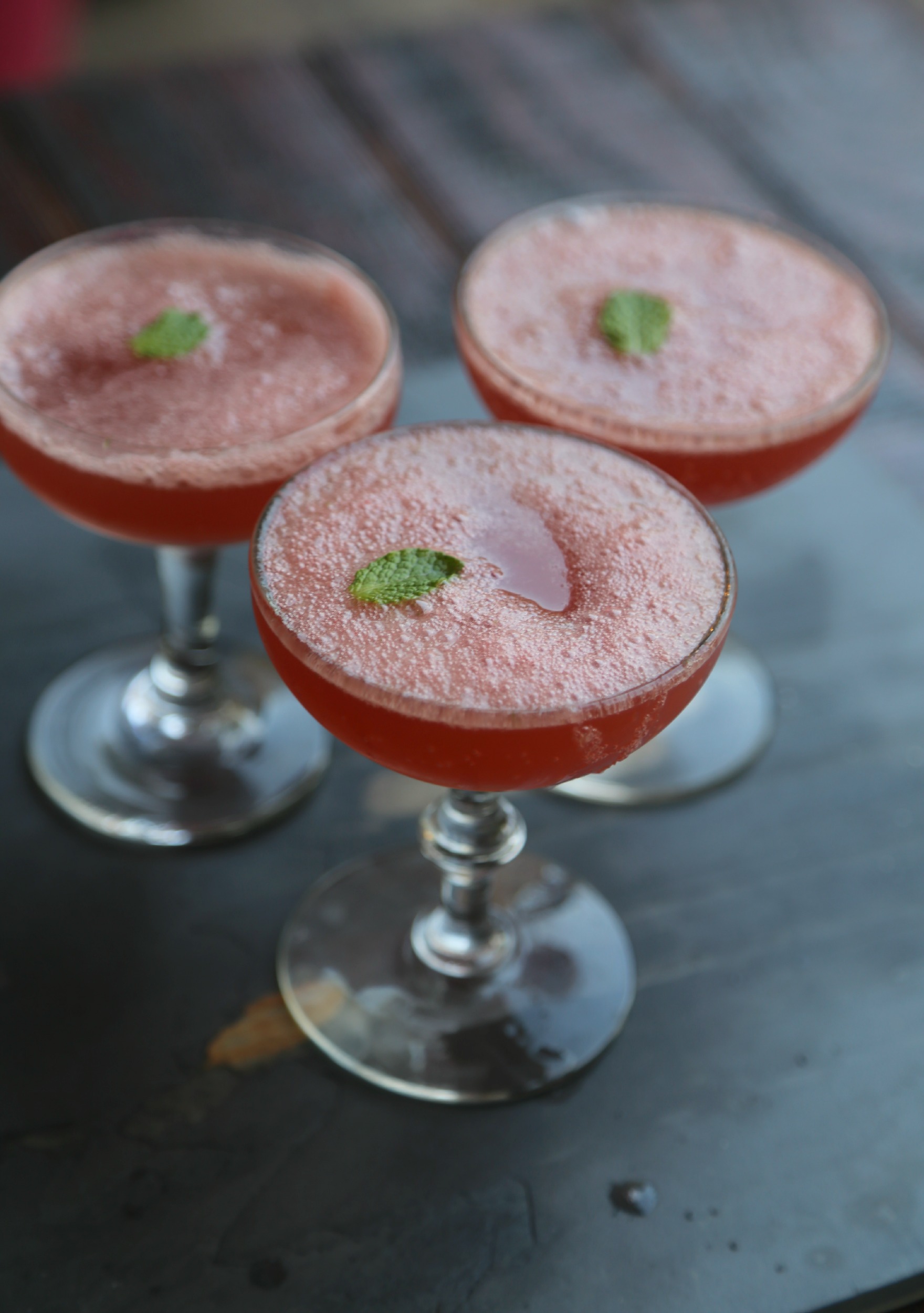 watermelon-mint-champagne-cocktail-VianneyRodriguez-sweetlifebake