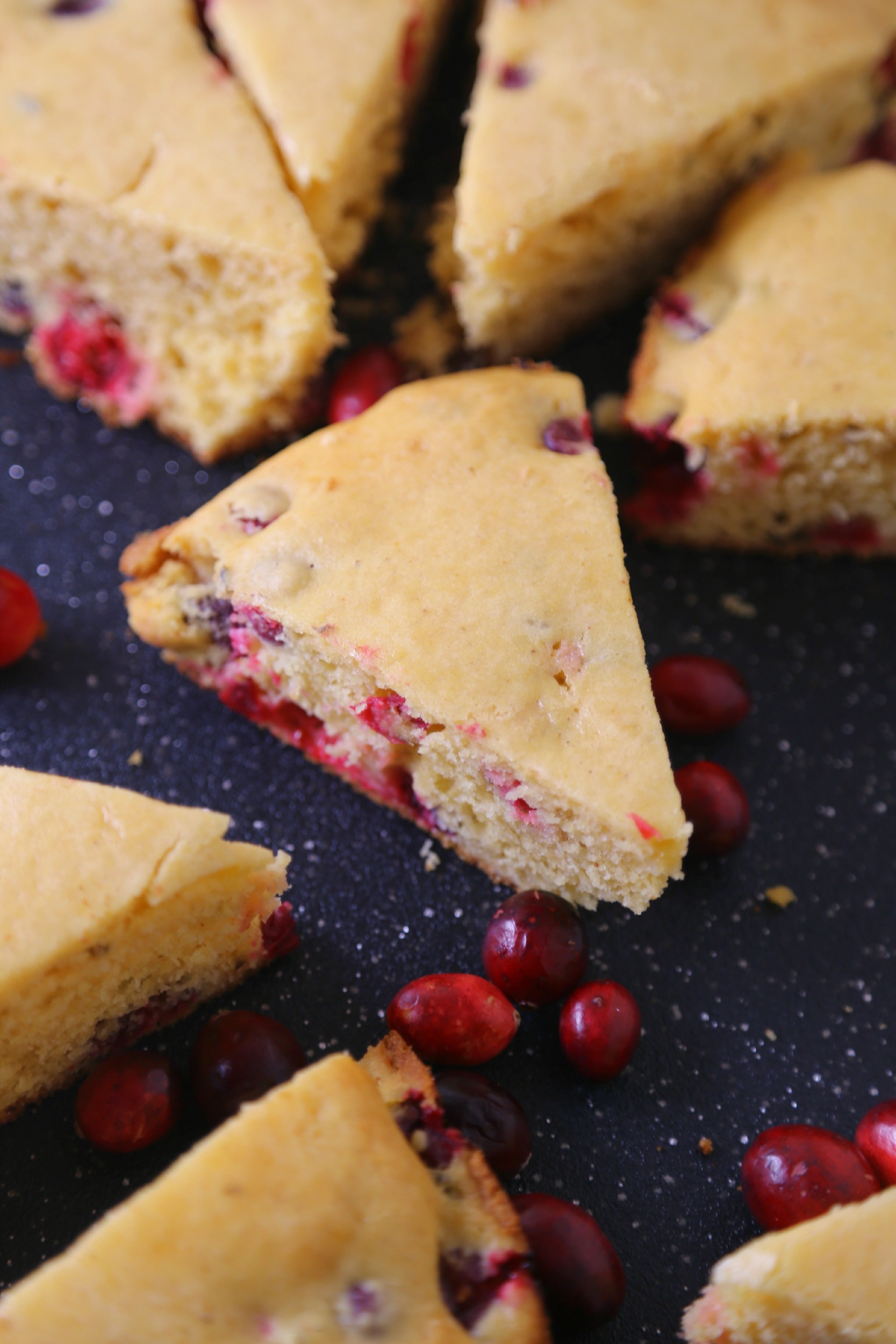 spicy-cranberry-cornbread-vianneyrodriguez