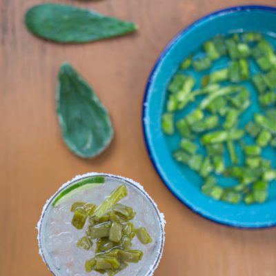 Nopal Margarita (Cactus Margarita)