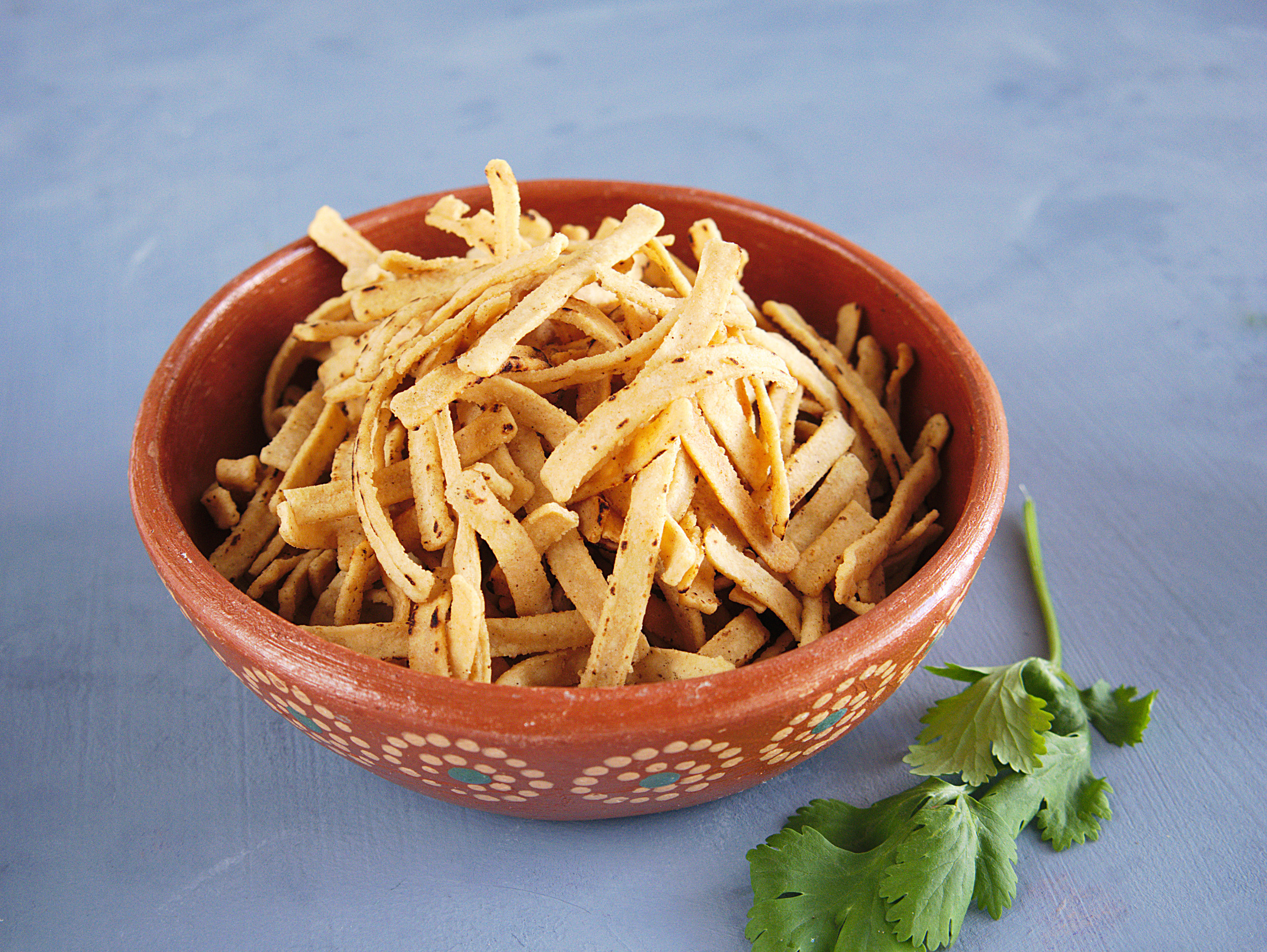 fried tortilla chips for soup