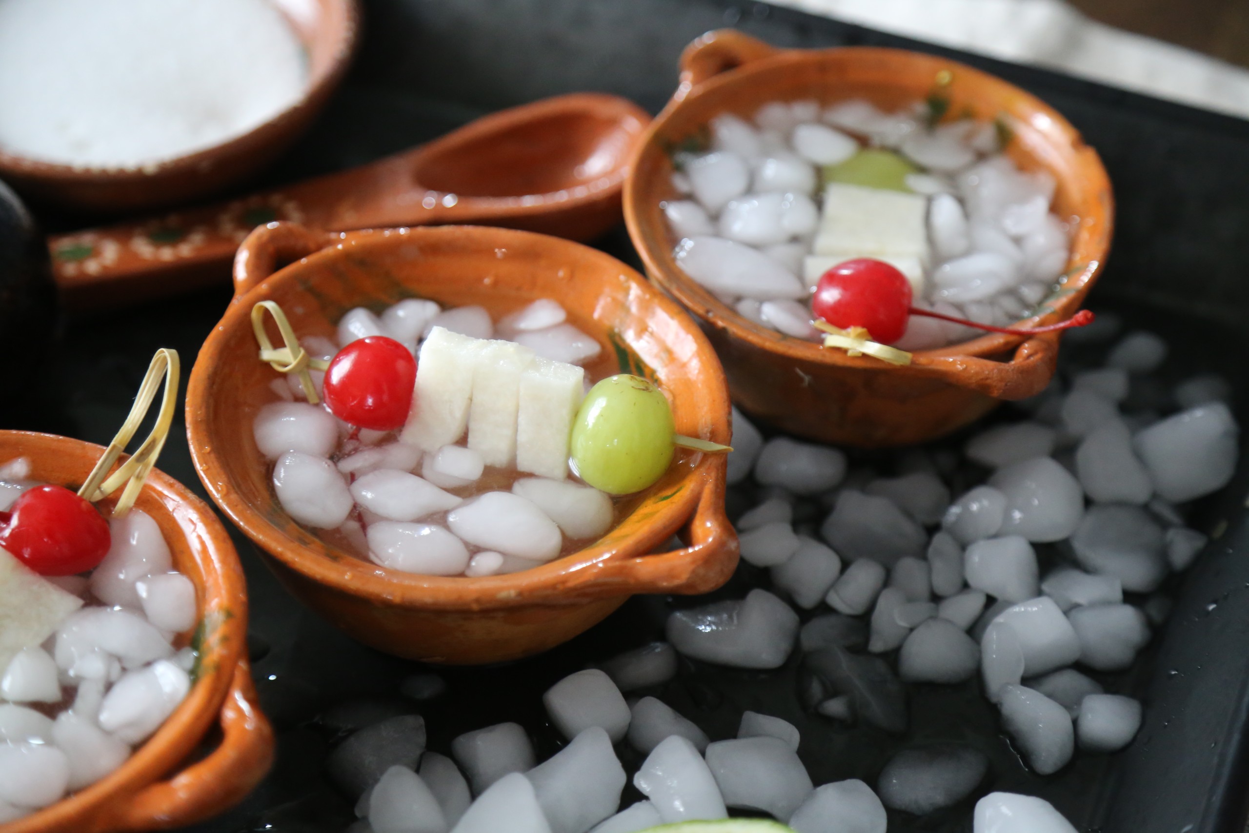 Josefina Velazquez de Leon COCKTAILS cookbook